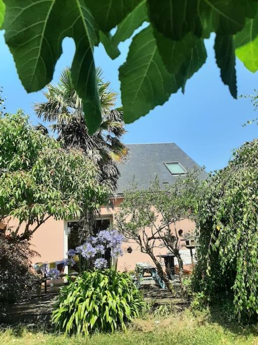 La Maison Rose - Avec Grand Jardin Clos A 300M De La Mer Hauteville-sur-Mer 外观 照片