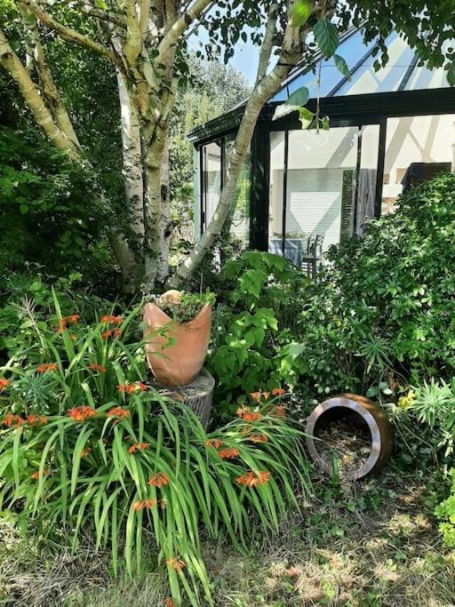 La Maison Rose - Avec Grand Jardin Clos A 300M De La Mer Hauteville-sur-Mer 外观 照片